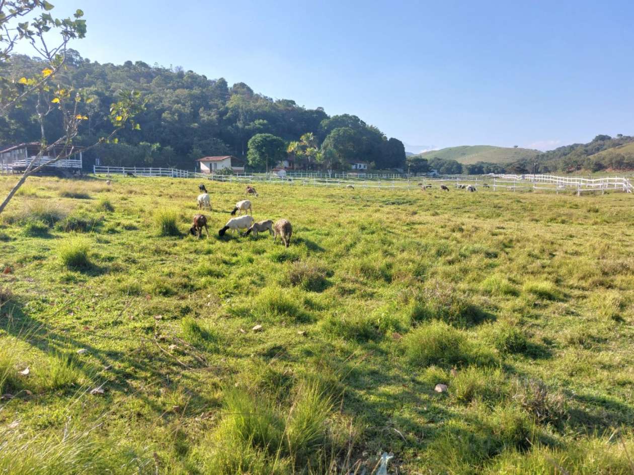 Fazenda, 21 hectares - Foto 15