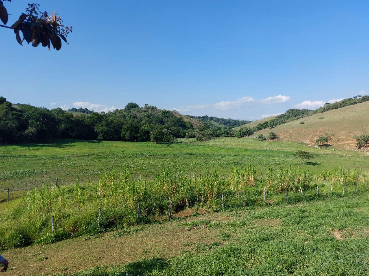 Fazenda, 21 hectares - Foto 17