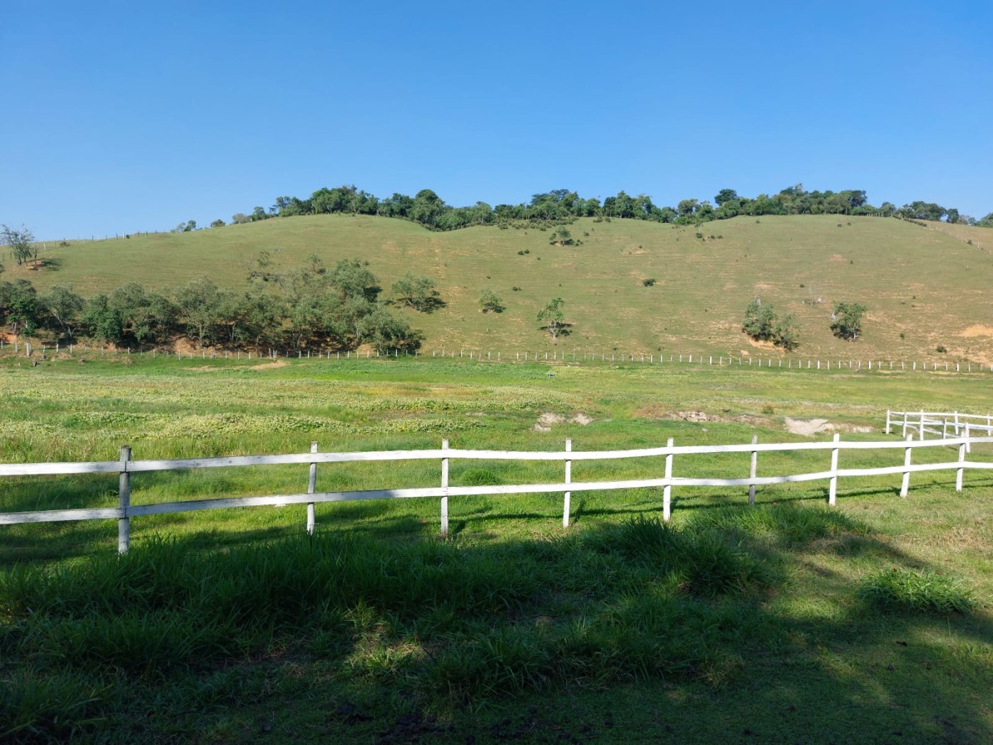 Fazenda, 21 hectares - Foto 18