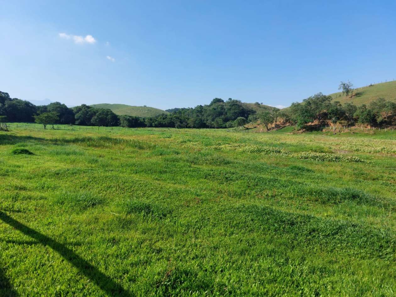 Fazenda, 21 hectares - Foto 19