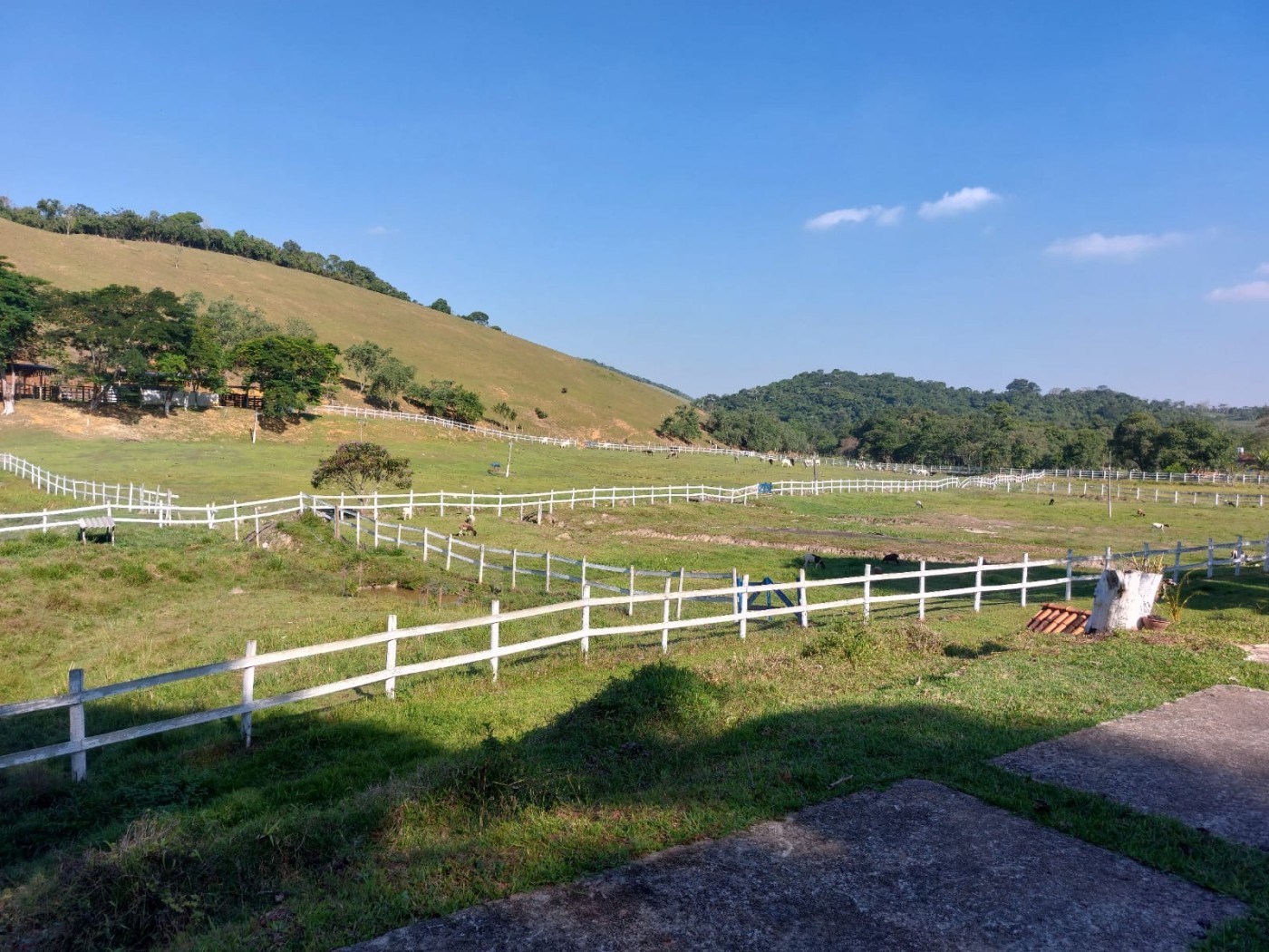 Fazenda, 21 hectares - Foto 21