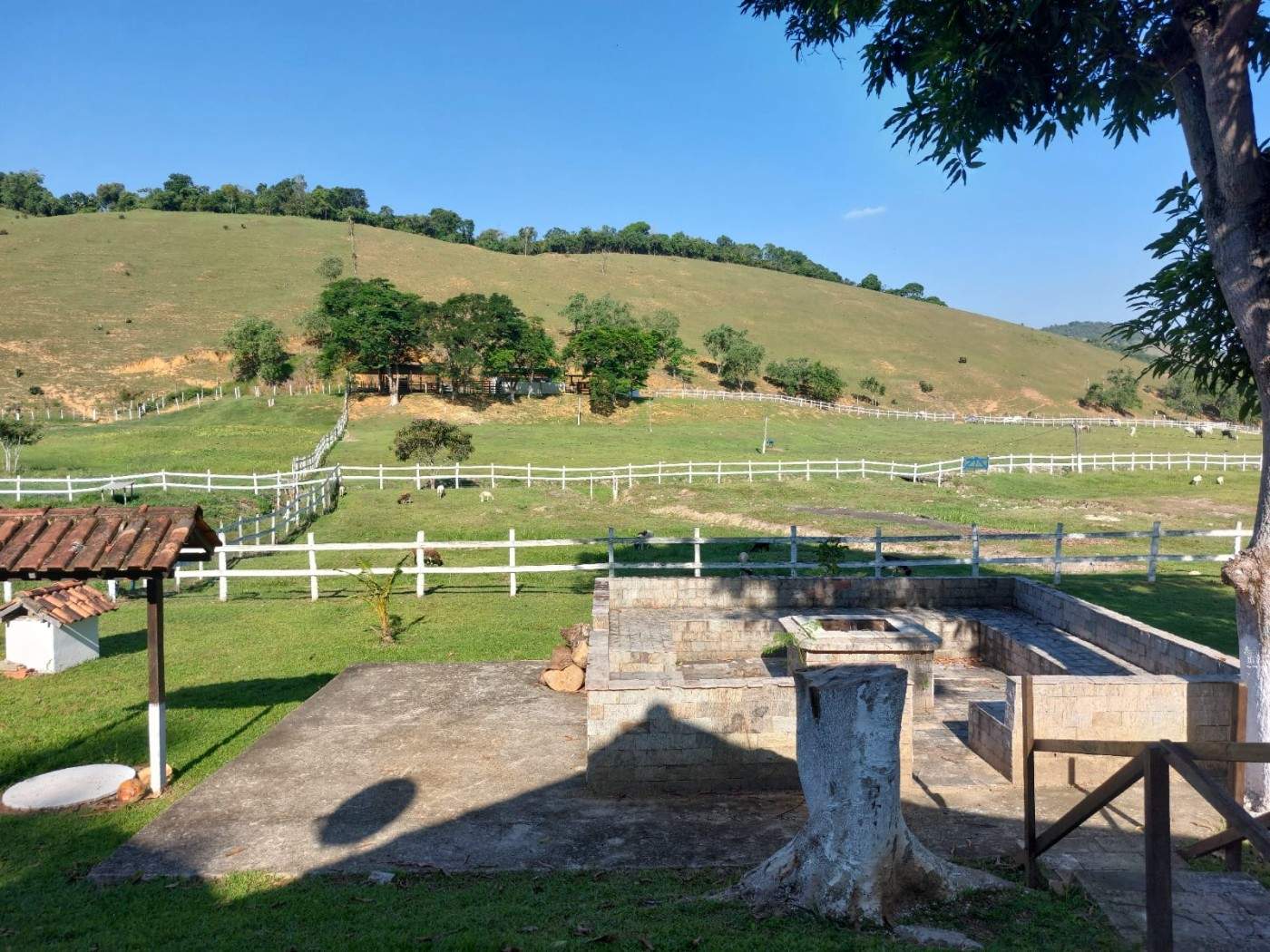 Fazenda, 21 hectares - Foto 26