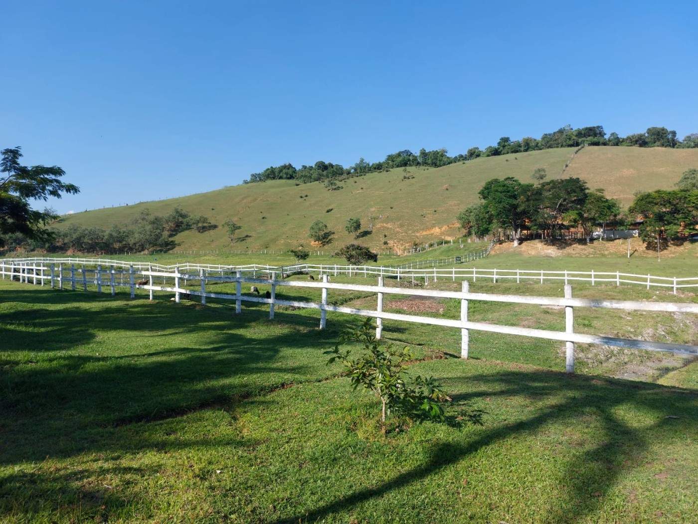 Fazenda, 21 hectares - Foto 29