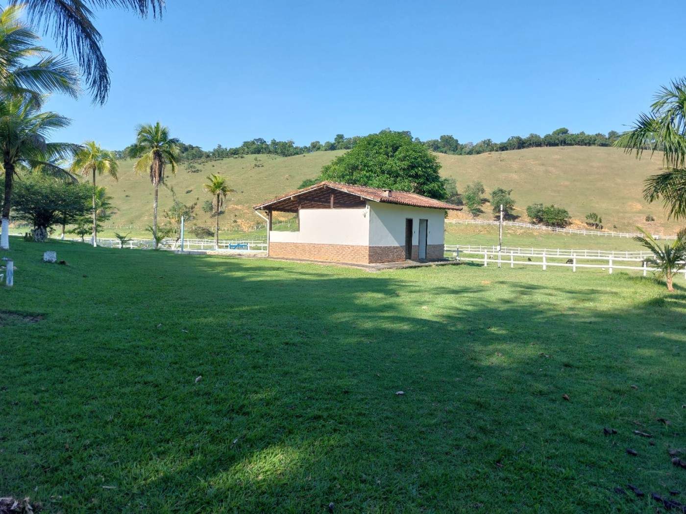 Fazenda, 21 hectares - Foto 33