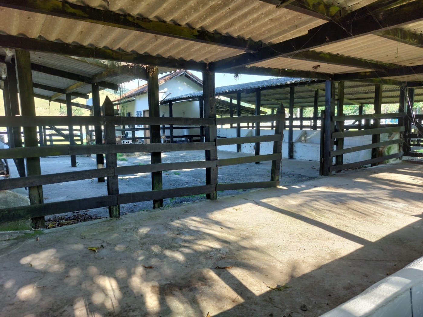 Fazenda, 21 hectares - Foto 35