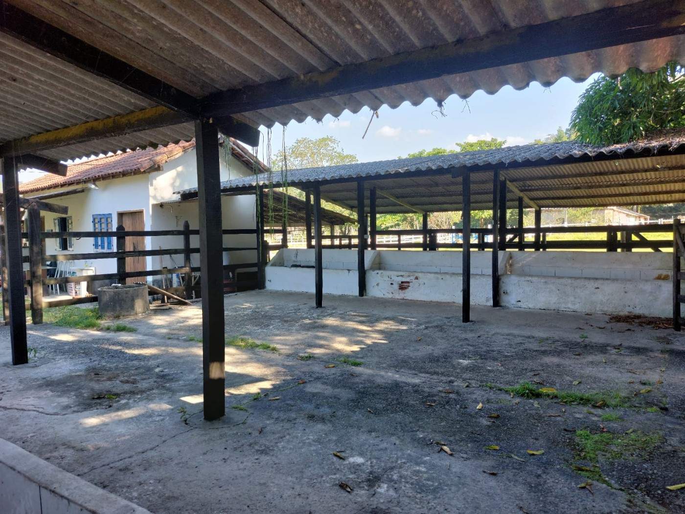 Fazenda, 21 hectares - Foto 38