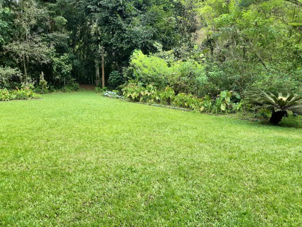 Sítio, 3 quartos, 19 hectares - Foto 4