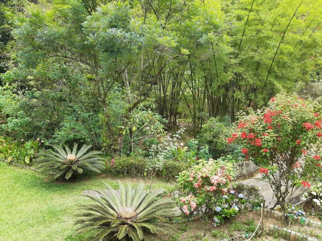 Sítio, 3 quartos, 19 hectares - Foto 9