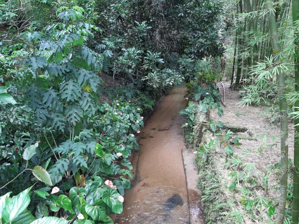 Sítio, 3 quartos, 19 hectares - Foto 8