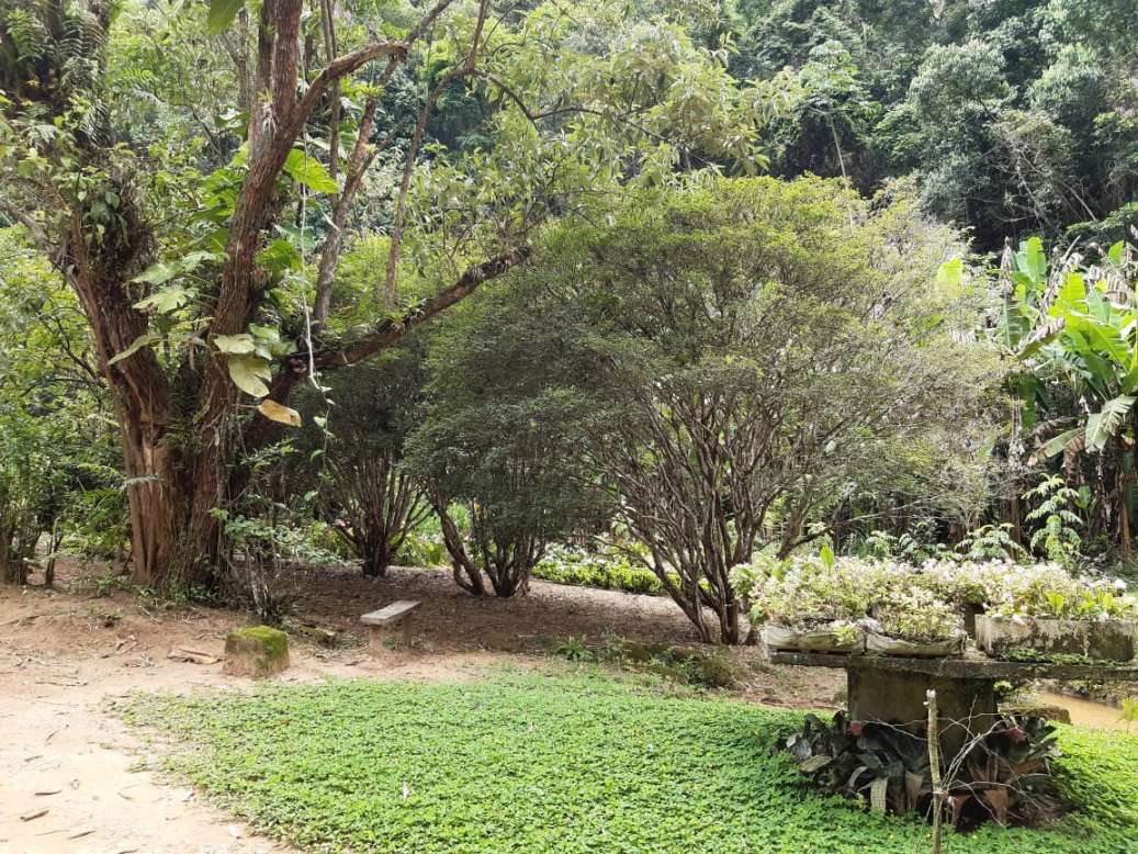 Sítio, 3 quartos, 19 hectares - Foto 7