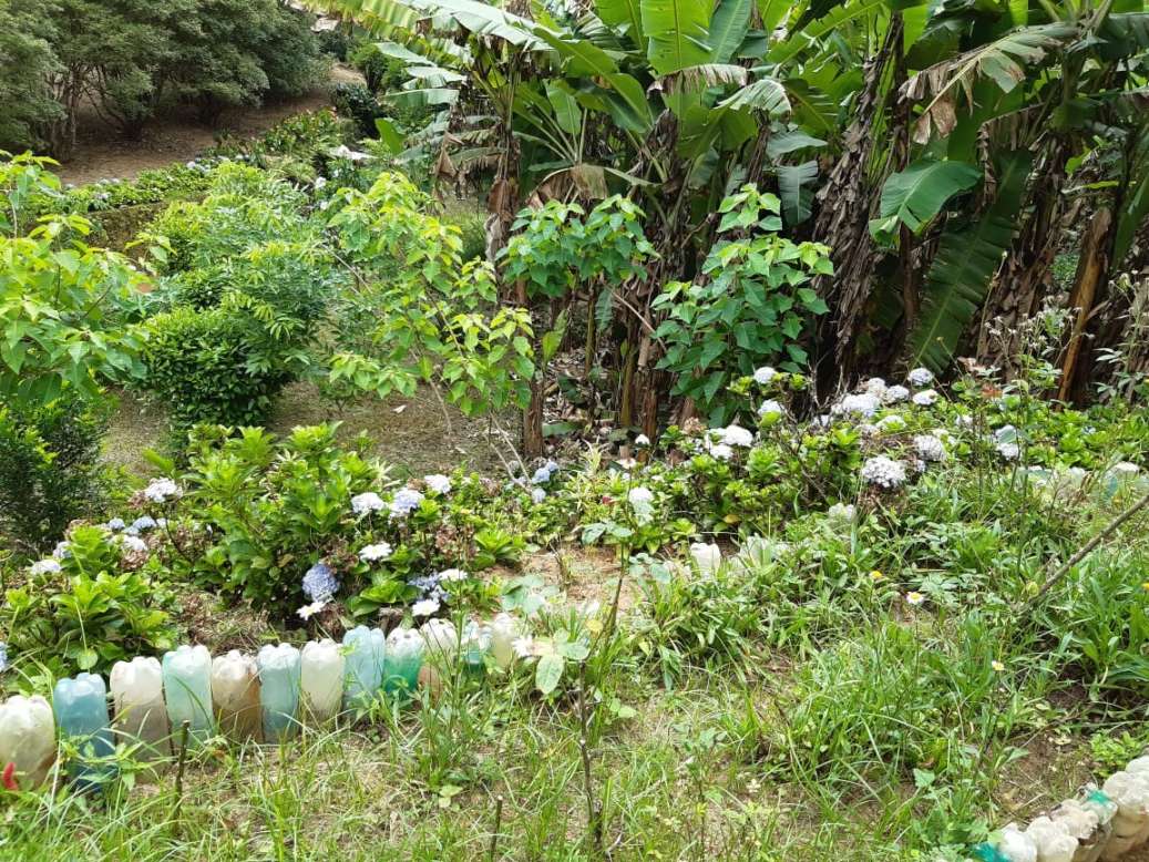 Sítio, 3 quartos, 19 hectares - Foto 11