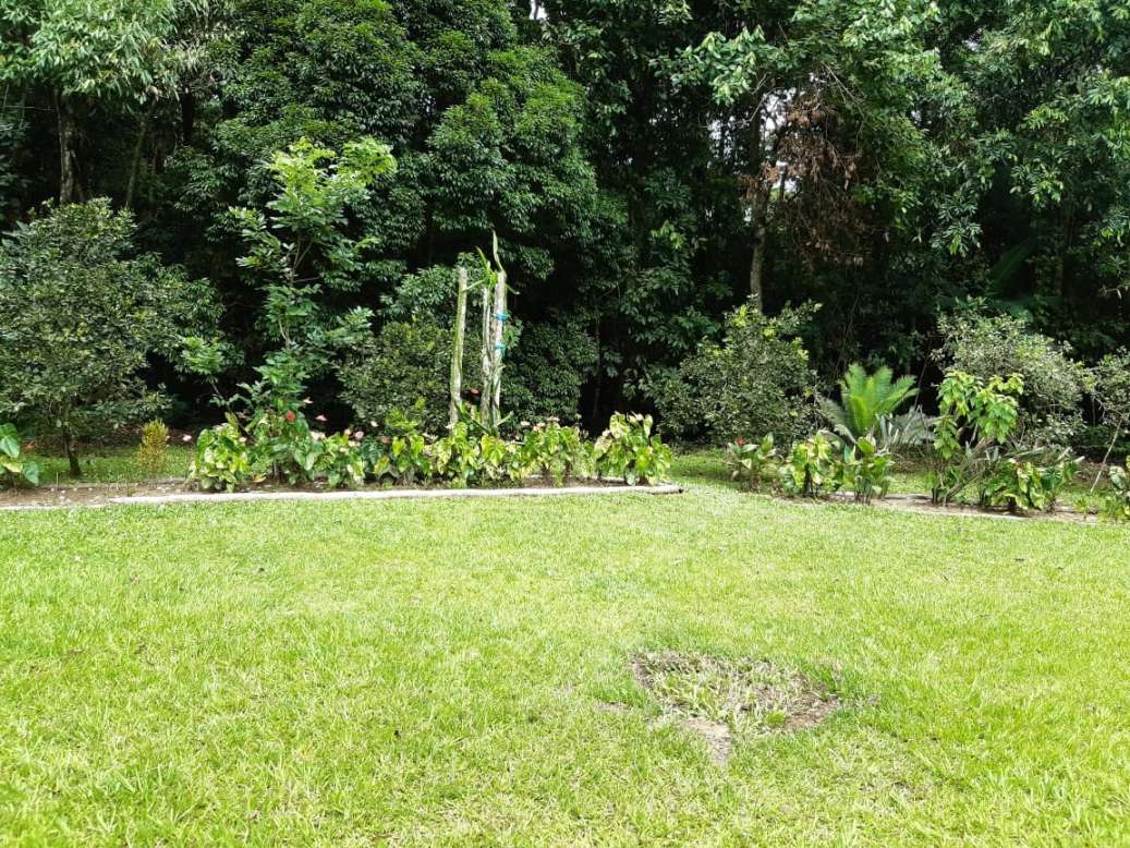 Sítio, 3 quartos, 19 hectares - Foto 13