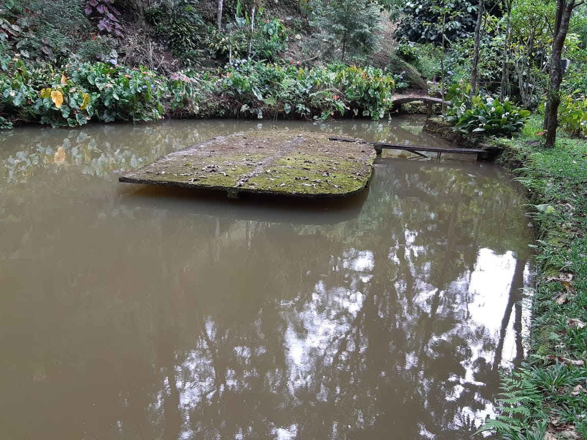 Sítio, 3 quartos, 19 hectares - Foto 19