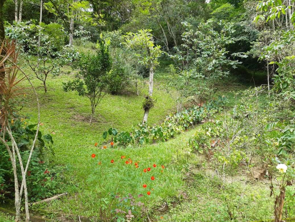 Sítio, 3 quartos, 19 hectares - Foto 17