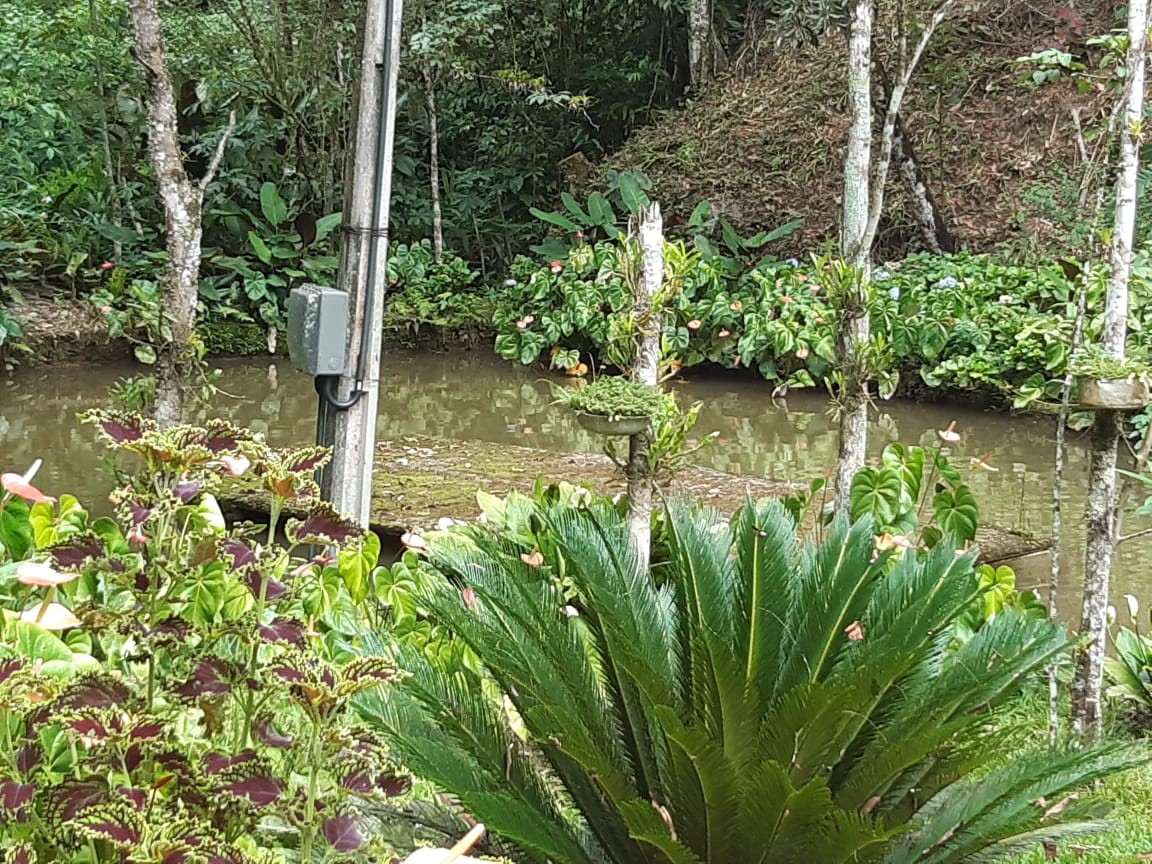 Sítio, 3 quartos, 19 hectares - Foto 21