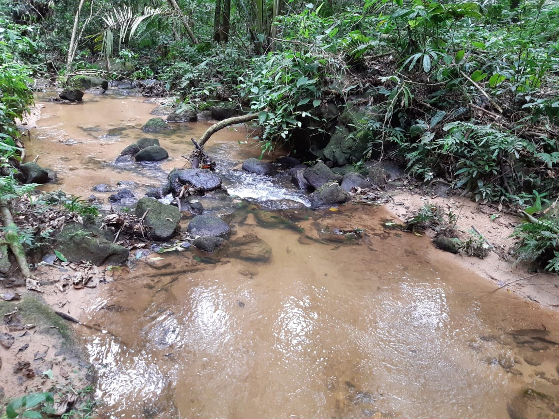 Sítio, 3 quartos, 19 hectares - Foto 23