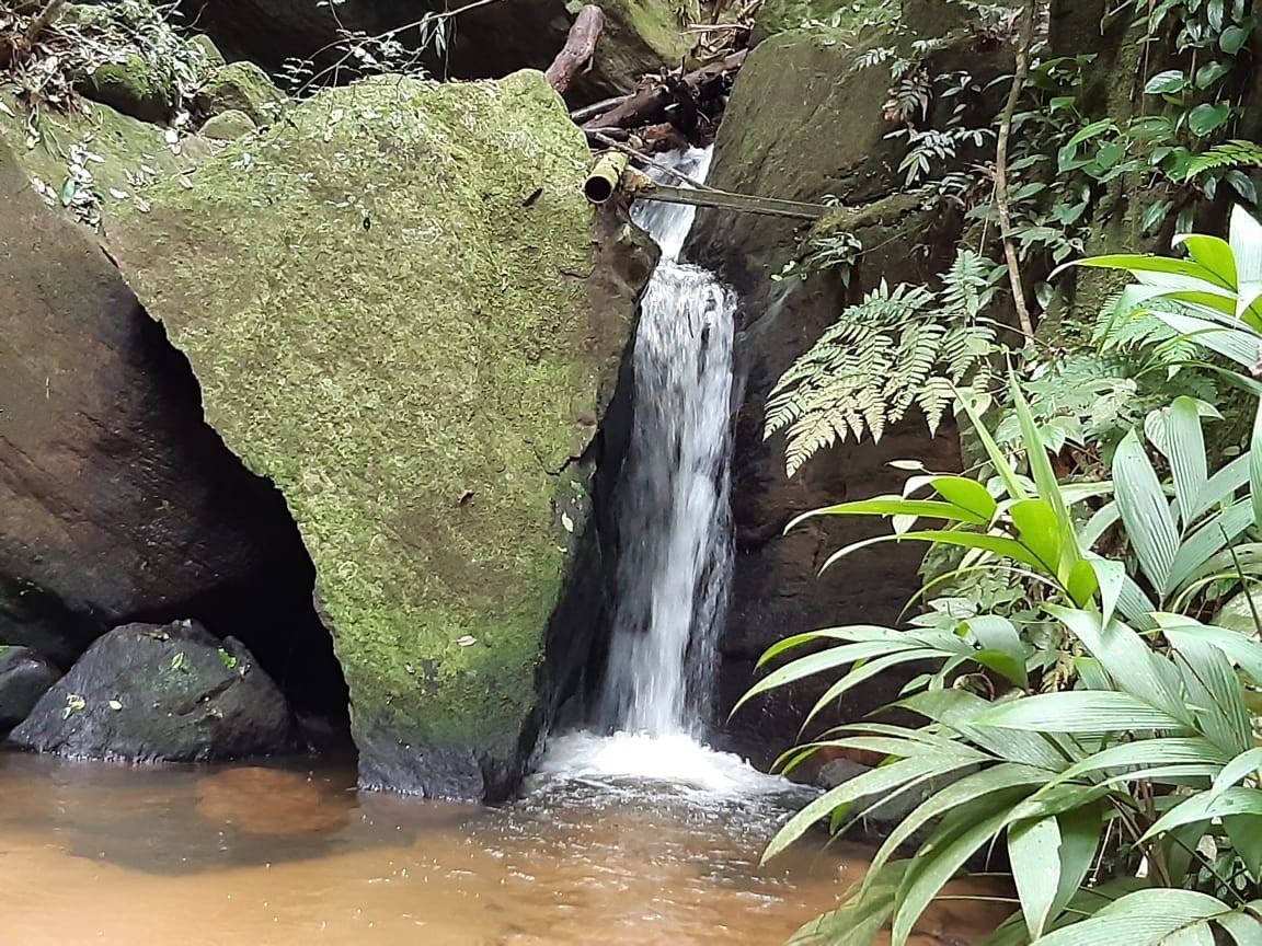 Sítio, 3 quartos, 19 hectares - Foto 24