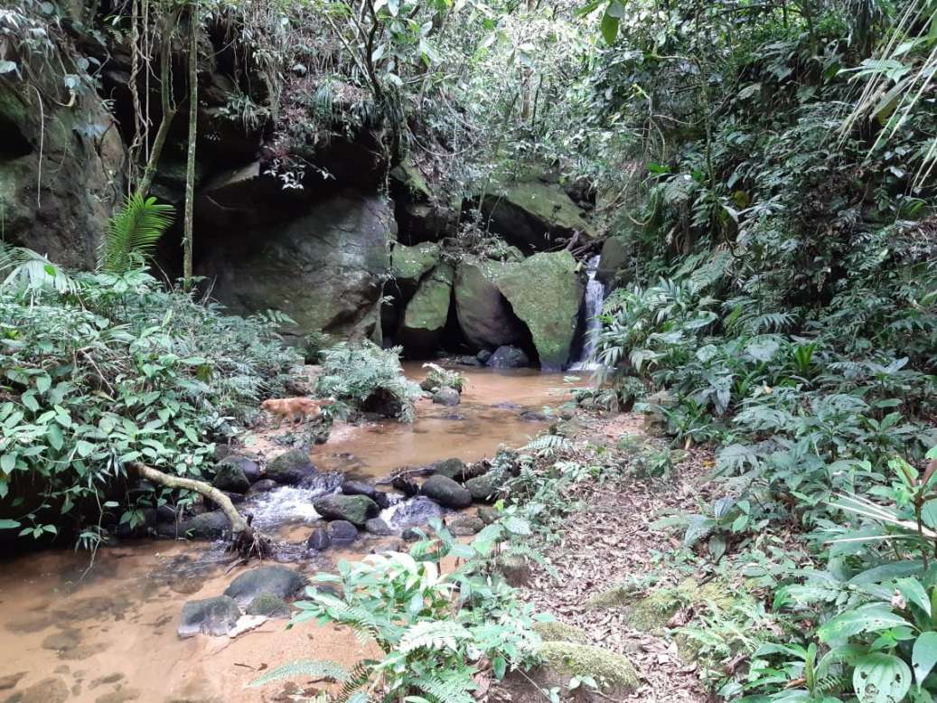 Sítio, 3 quartos, 19 hectares - Foto 25