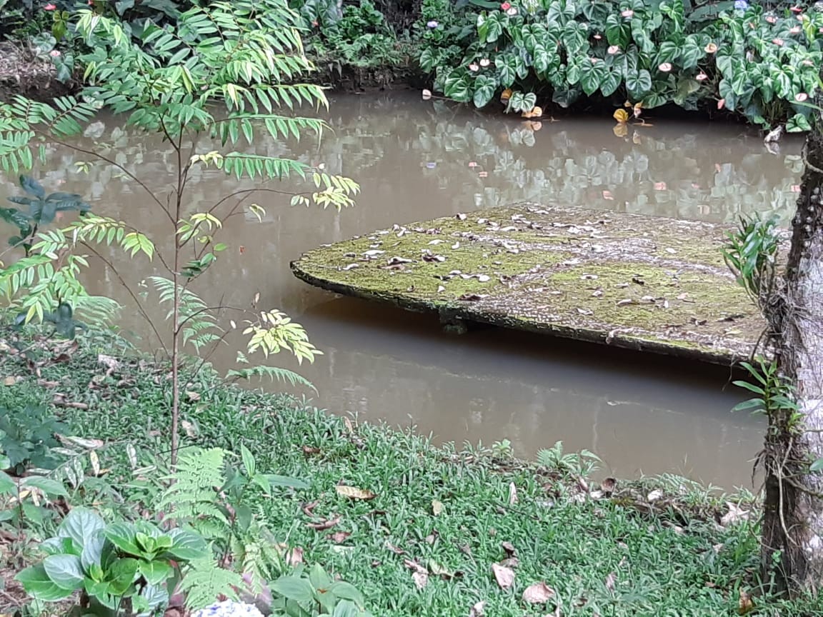 Sítio, 3 quartos, 19 hectares - Foto 26