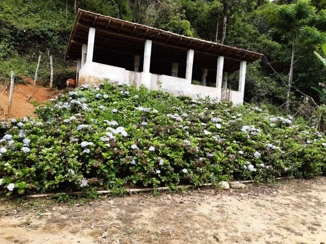 Sítio, 3 quartos, 19 hectares - Foto 27