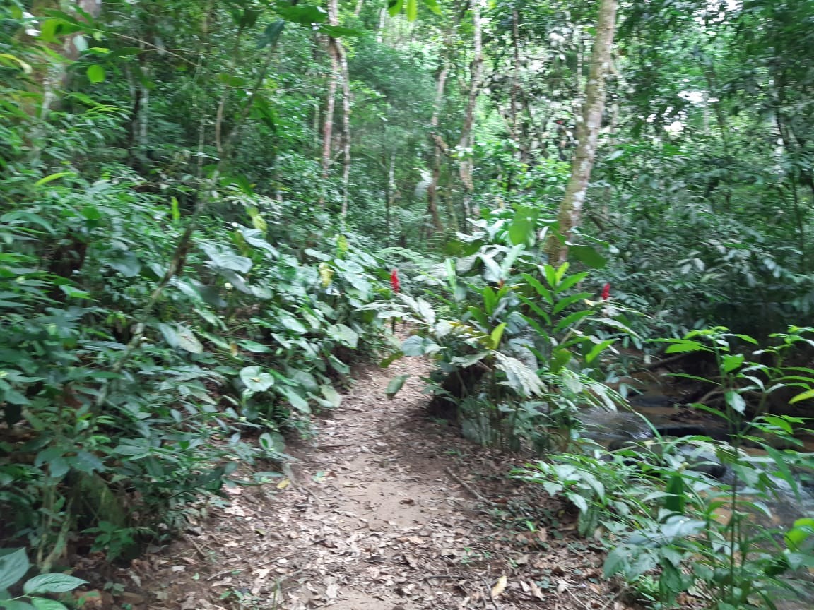 Sítio, 3 quartos, 19 hectares - Foto 29