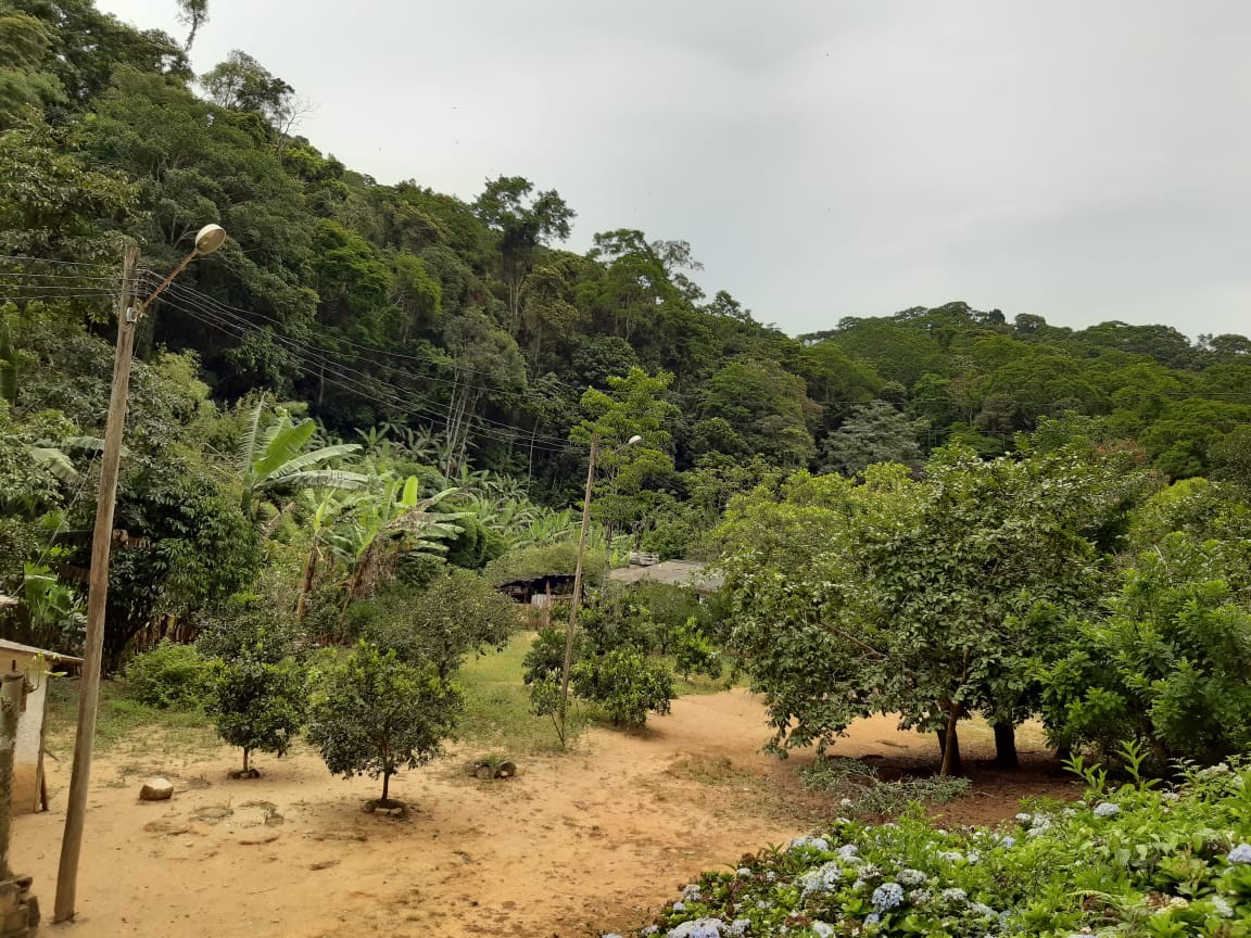 Sítio, 3 quartos, 19 hectares - Foto 28