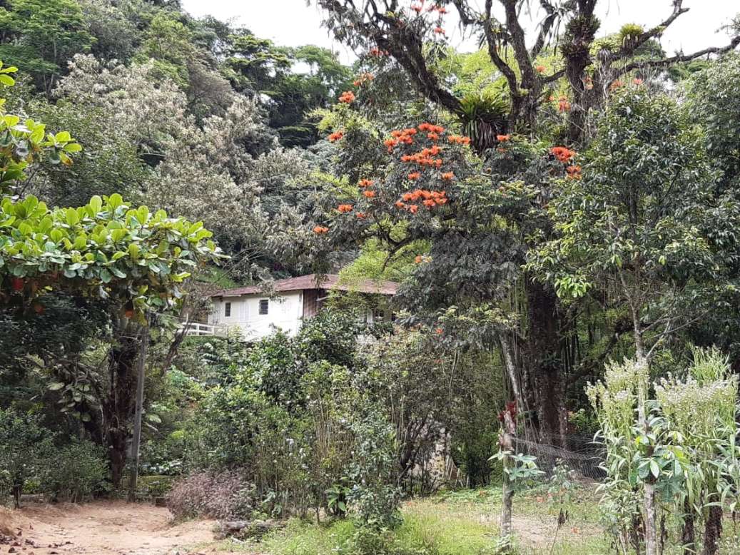 Sítio, 3 quartos, 19 hectares - Foto 30