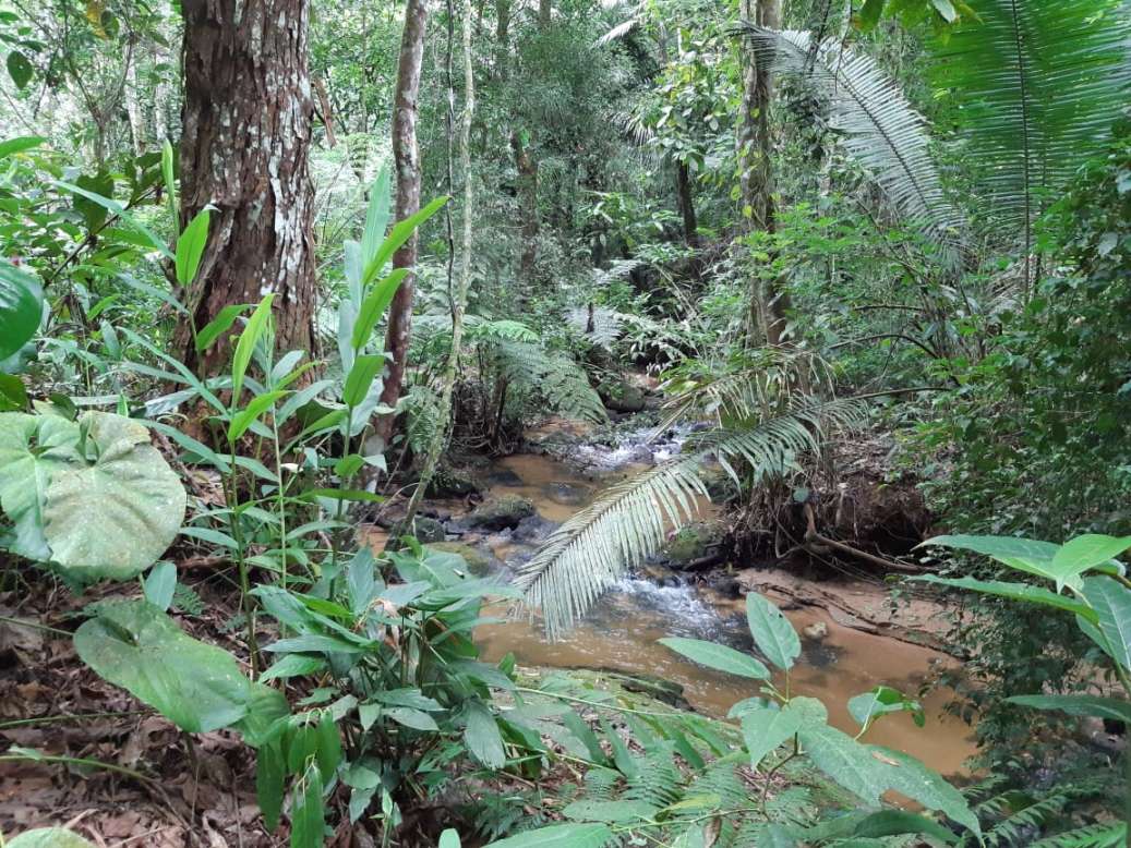 Sítio, 3 quartos, 19 hectares - Foto 32