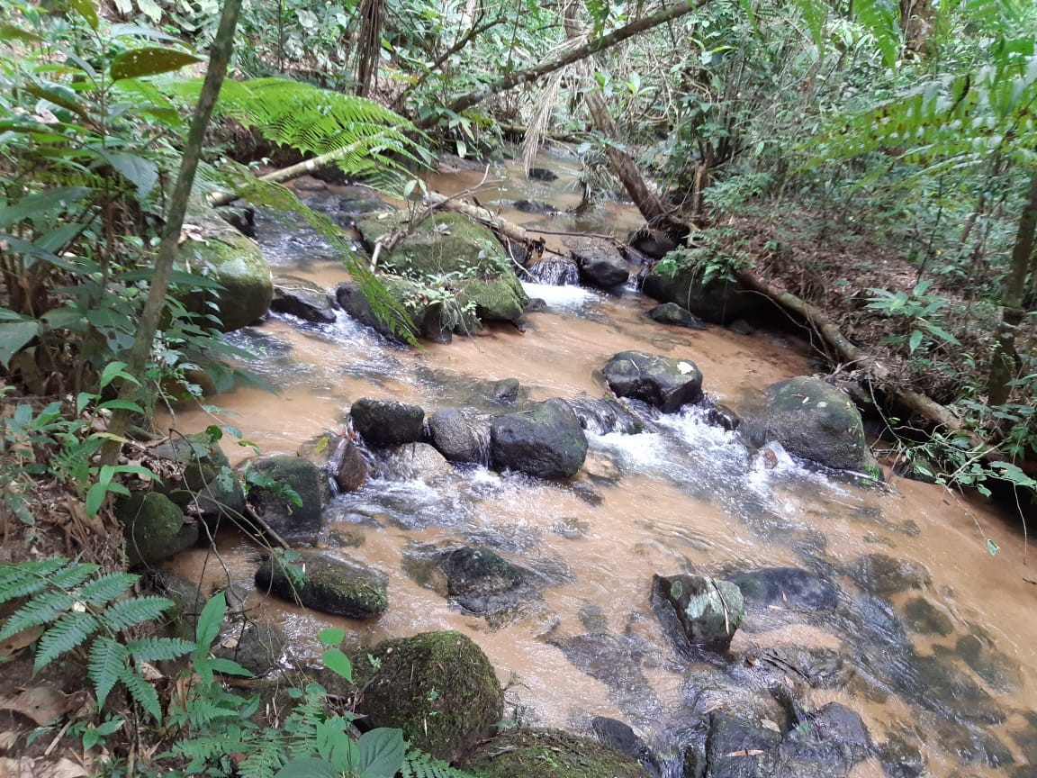 Sítio, 3 quartos, 19 hectares - Foto 39