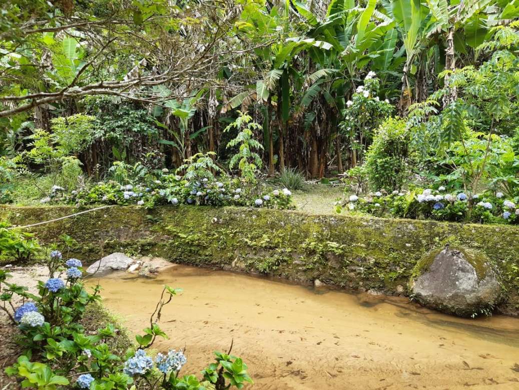 Sítio, 3 quartos, 19 hectares - Foto 42