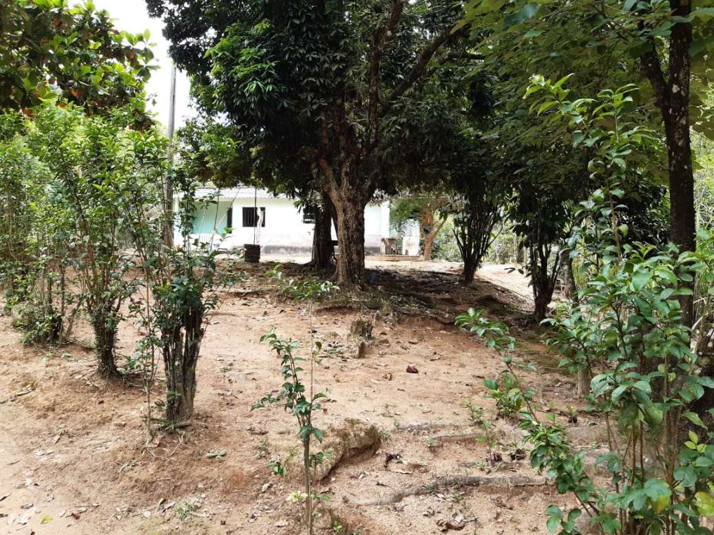 Sítio, 3 quartos, 19 hectares - Foto 43