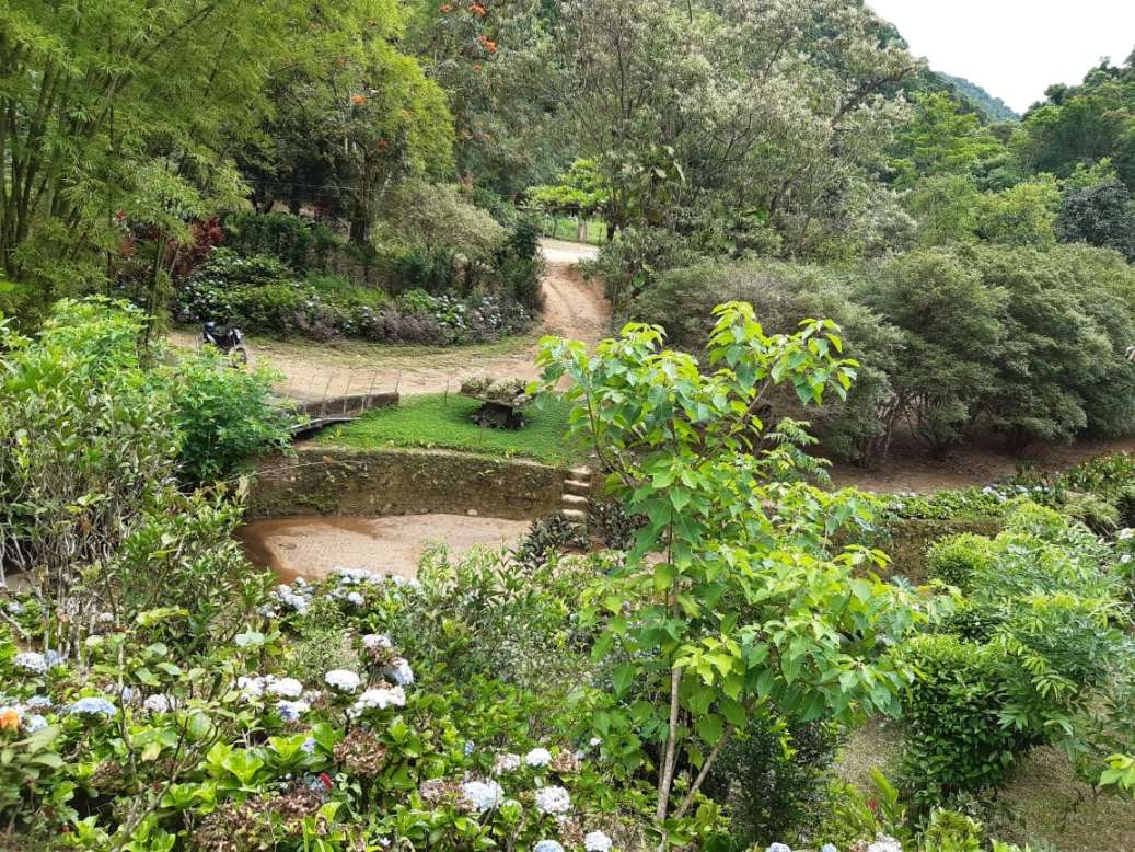 Sítio, 3 quartos, 19 hectares - Foto 47