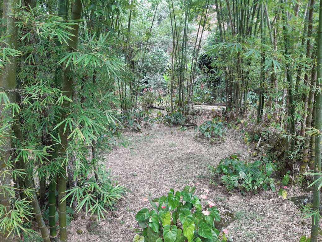 Sítio, 3 quartos, 19 hectares - Foto 44