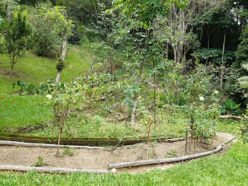 Sítio, 3 quartos, 19 hectares - Foto 50