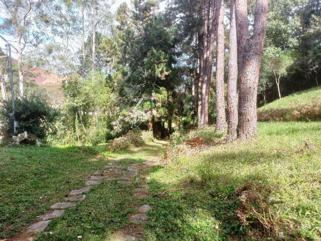 Sítio, 2 quartos, 8 hectares - Foto 3