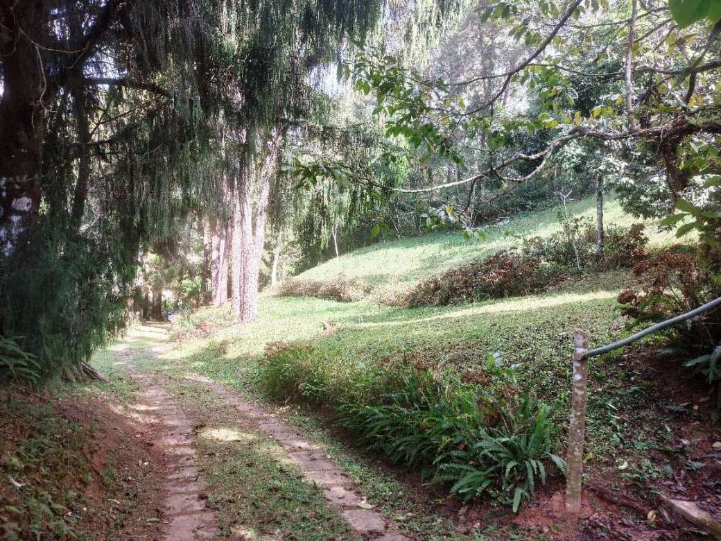 Sítio, 2 quartos, 8 hectares - Foto 8