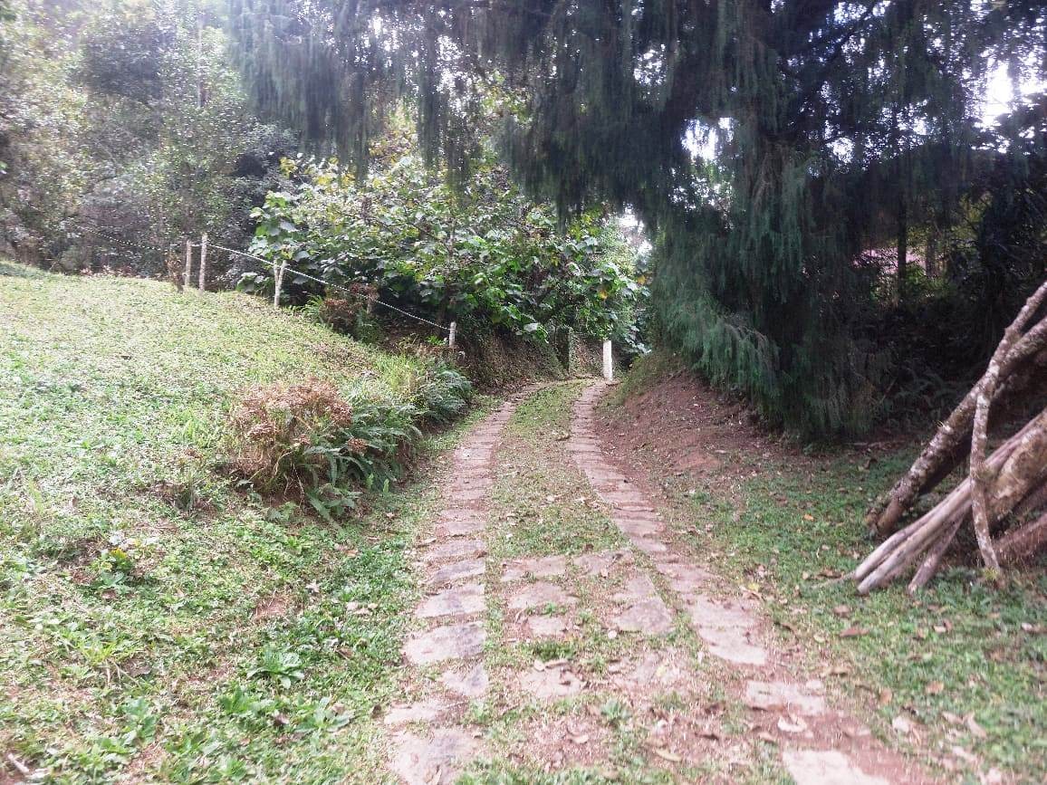 Sítio, 2 quartos, 8 hectares - Foto 12