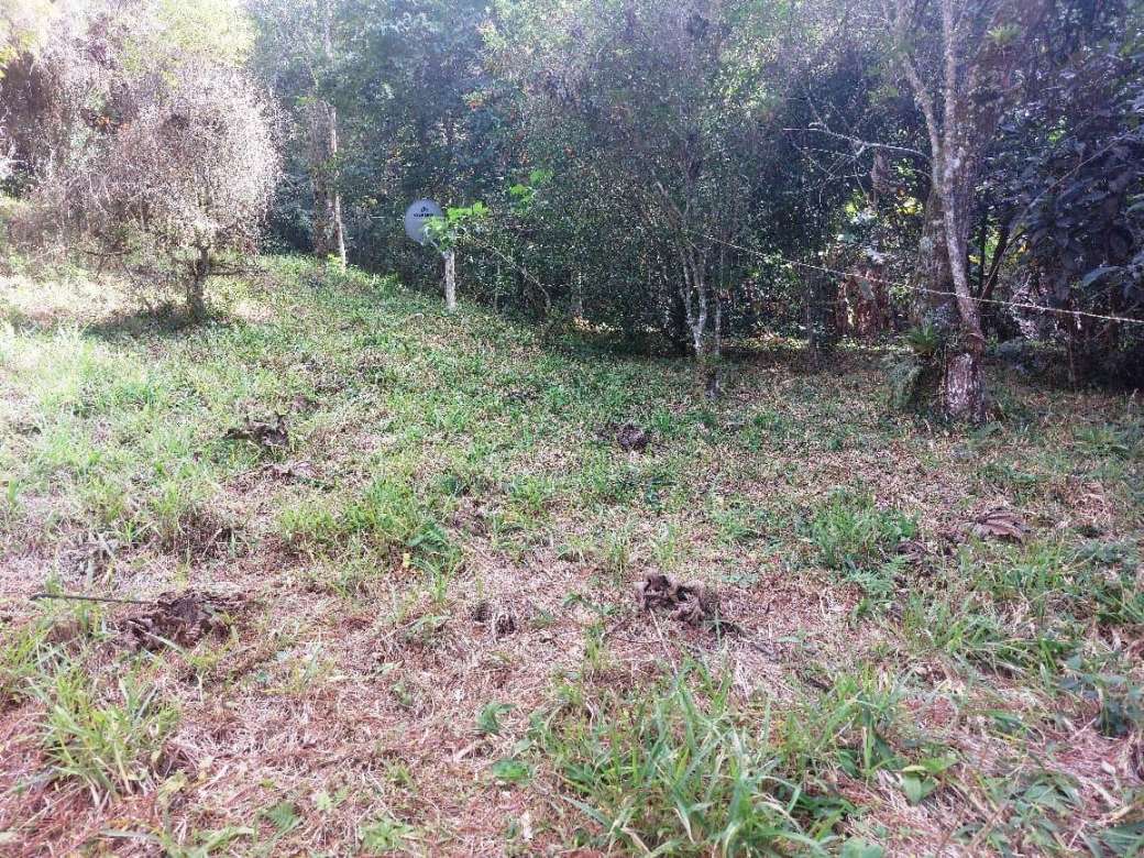 Sítio, 2 quartos, 8 hectares - Foto 9