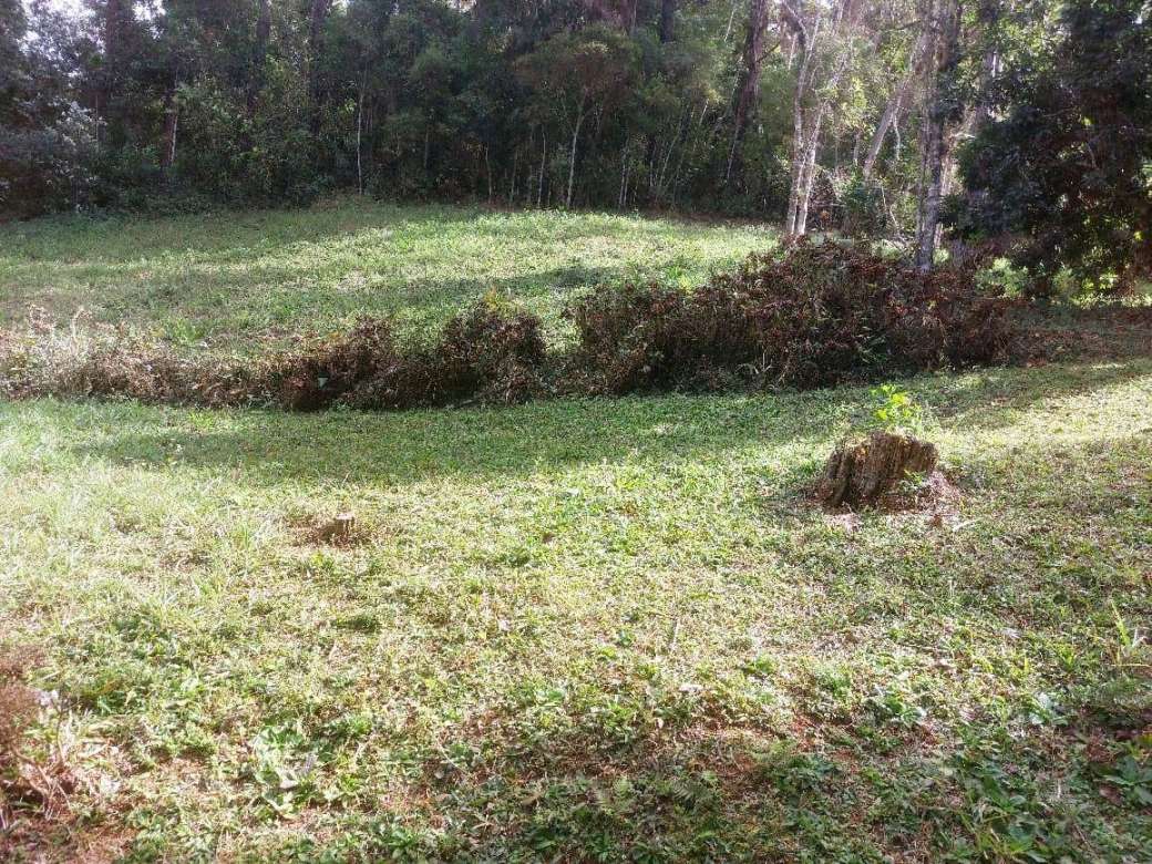 Sítio, 2 quartos, 8 hectares - Foto 11