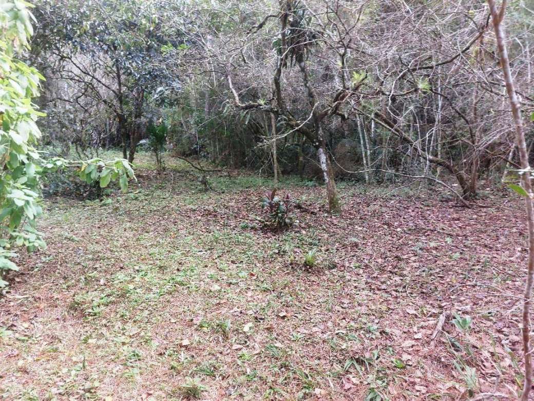 Sítio, 2 quartos, 8 hectares - Foto 13