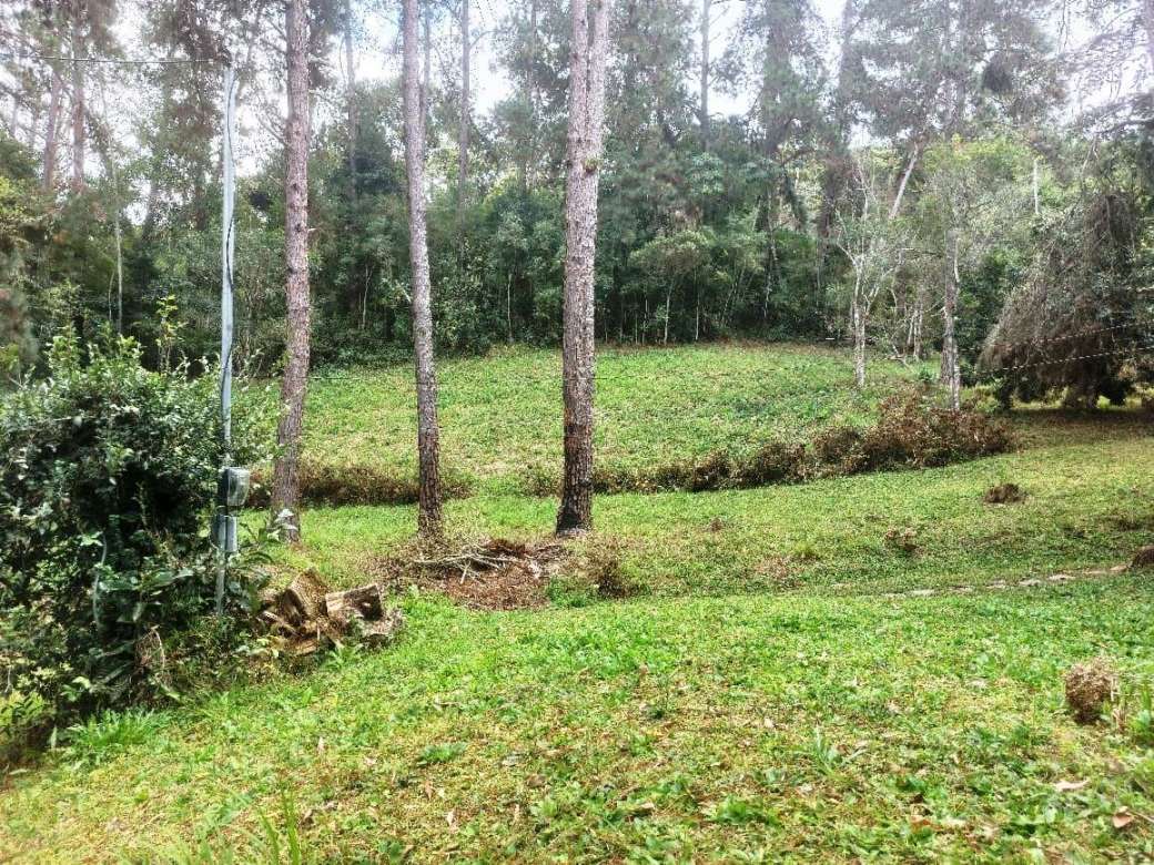 Sítio, 2 quartos, 8 hectares - Foto 15