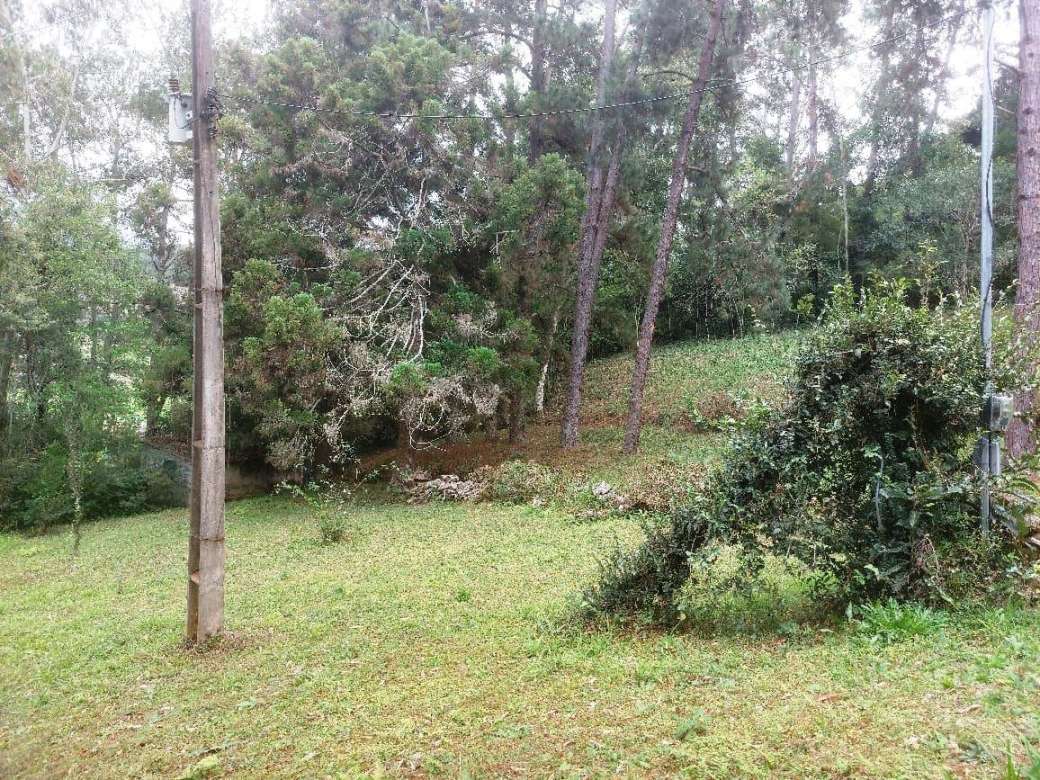 Sítio, 2 quartos, 8 hectares - Foto 14