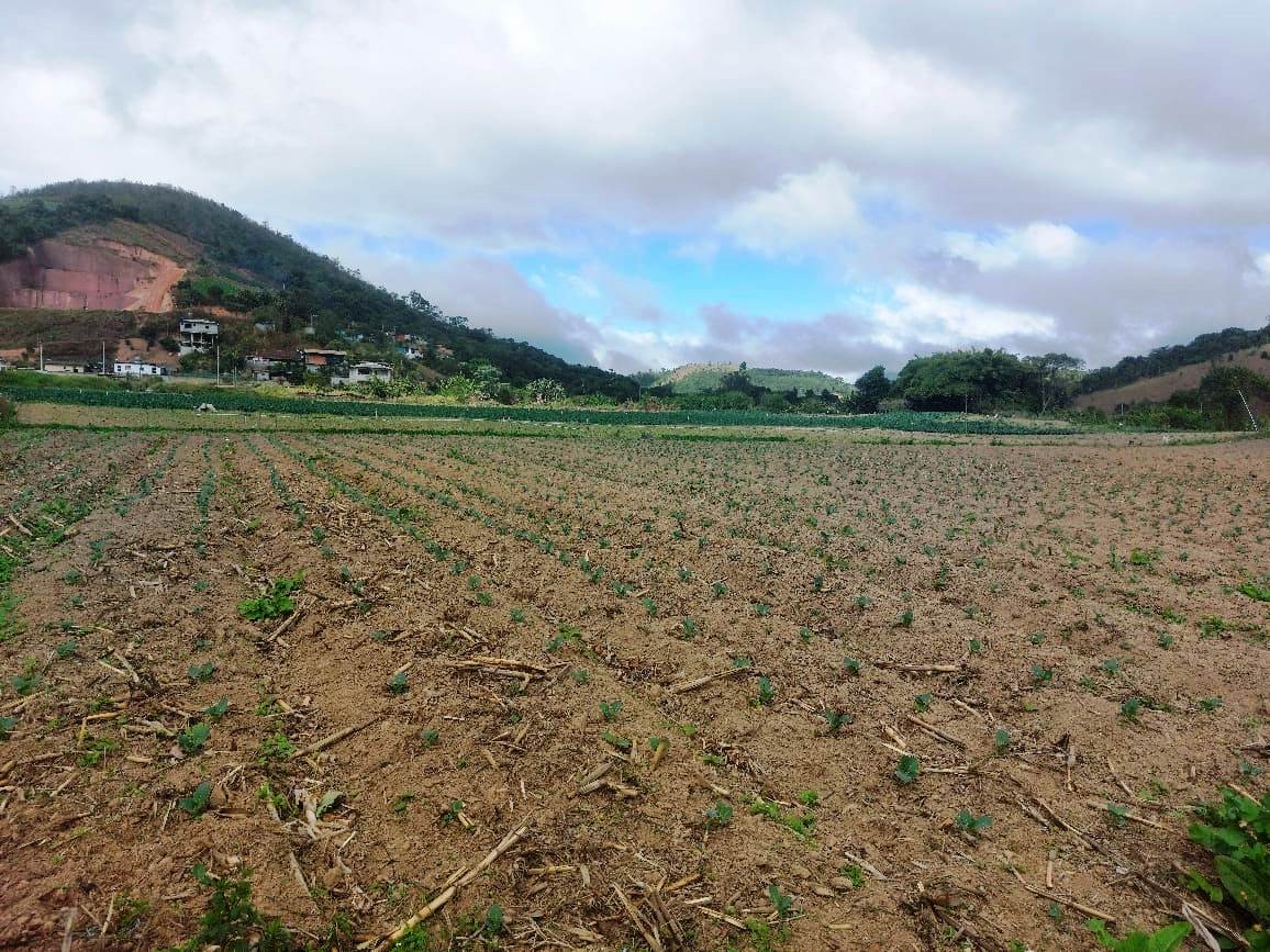 Sítio, 2 quartos, 8 hectares - Foto 19