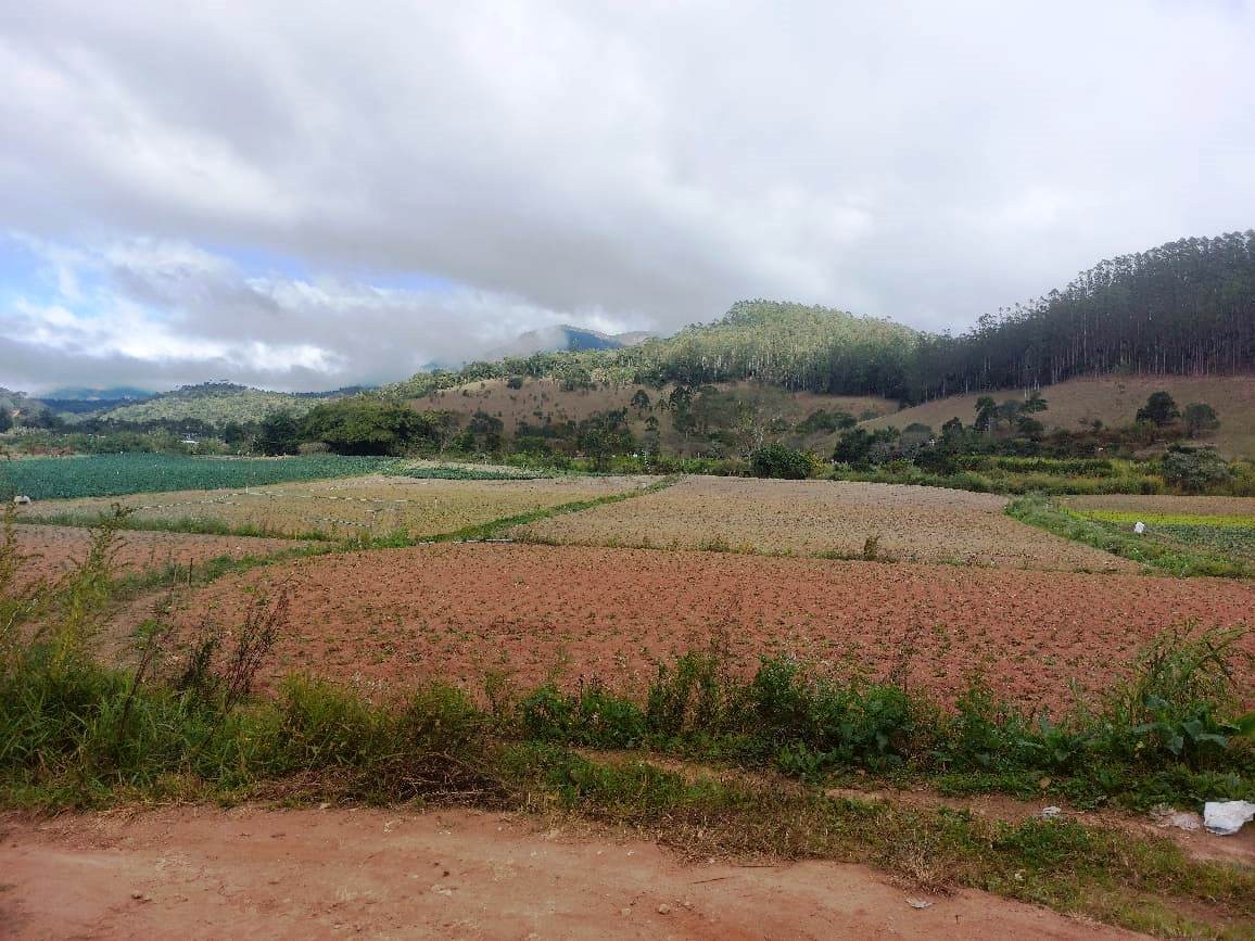 Sítio, 2 quartos, 8 hectares - Foto 17