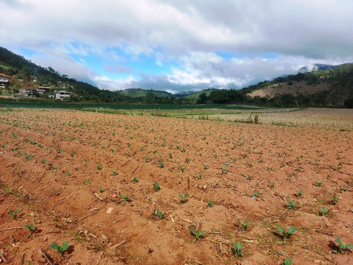 Sítio, 2 quartos, 8 hectares - Foto 18