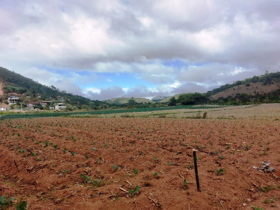 Sítio, 2 quartos, 8 hectares - Foto 25