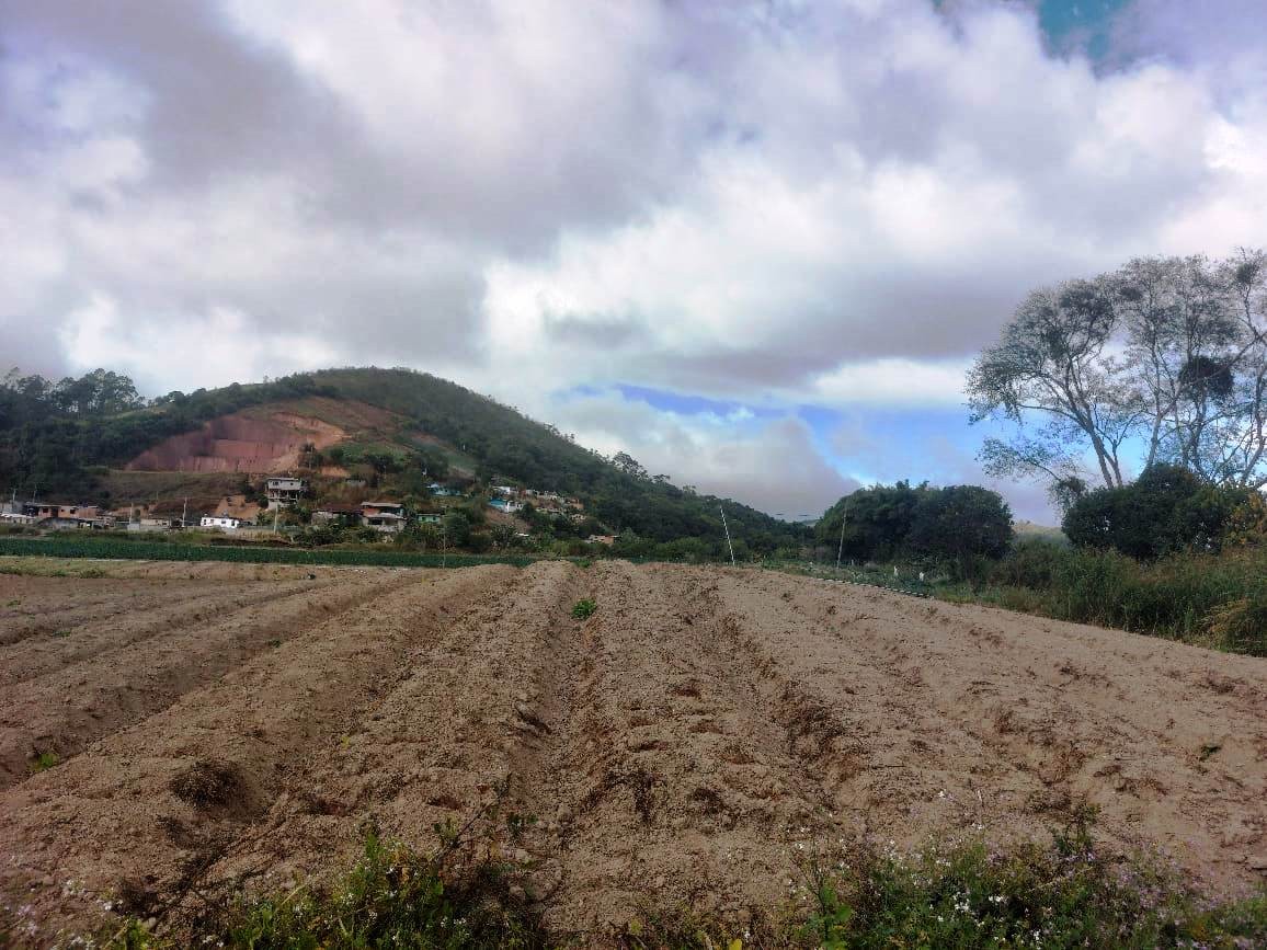 Sítio, 2 quartos, 8 hectares - Foto 24