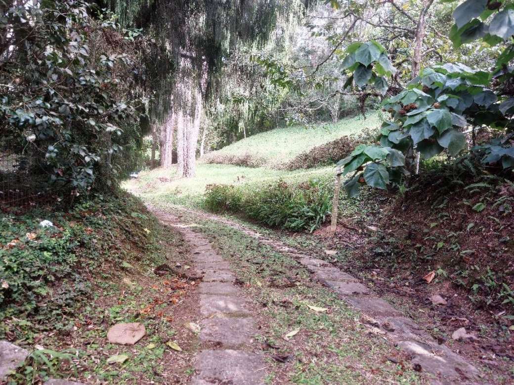 Sítio, 2 quartos, 8 hectares - Foto 21