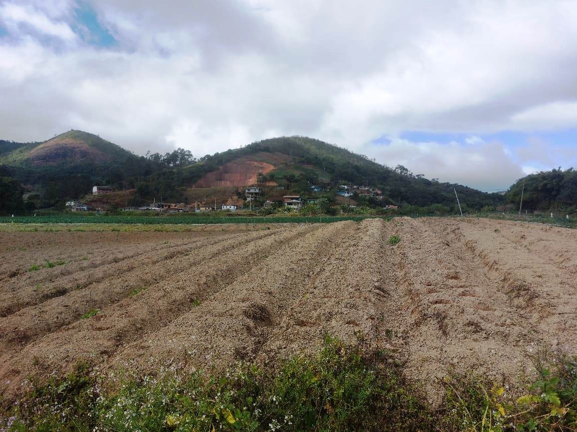 Sítio, 2 quartos, 8 hectares - Foto 23