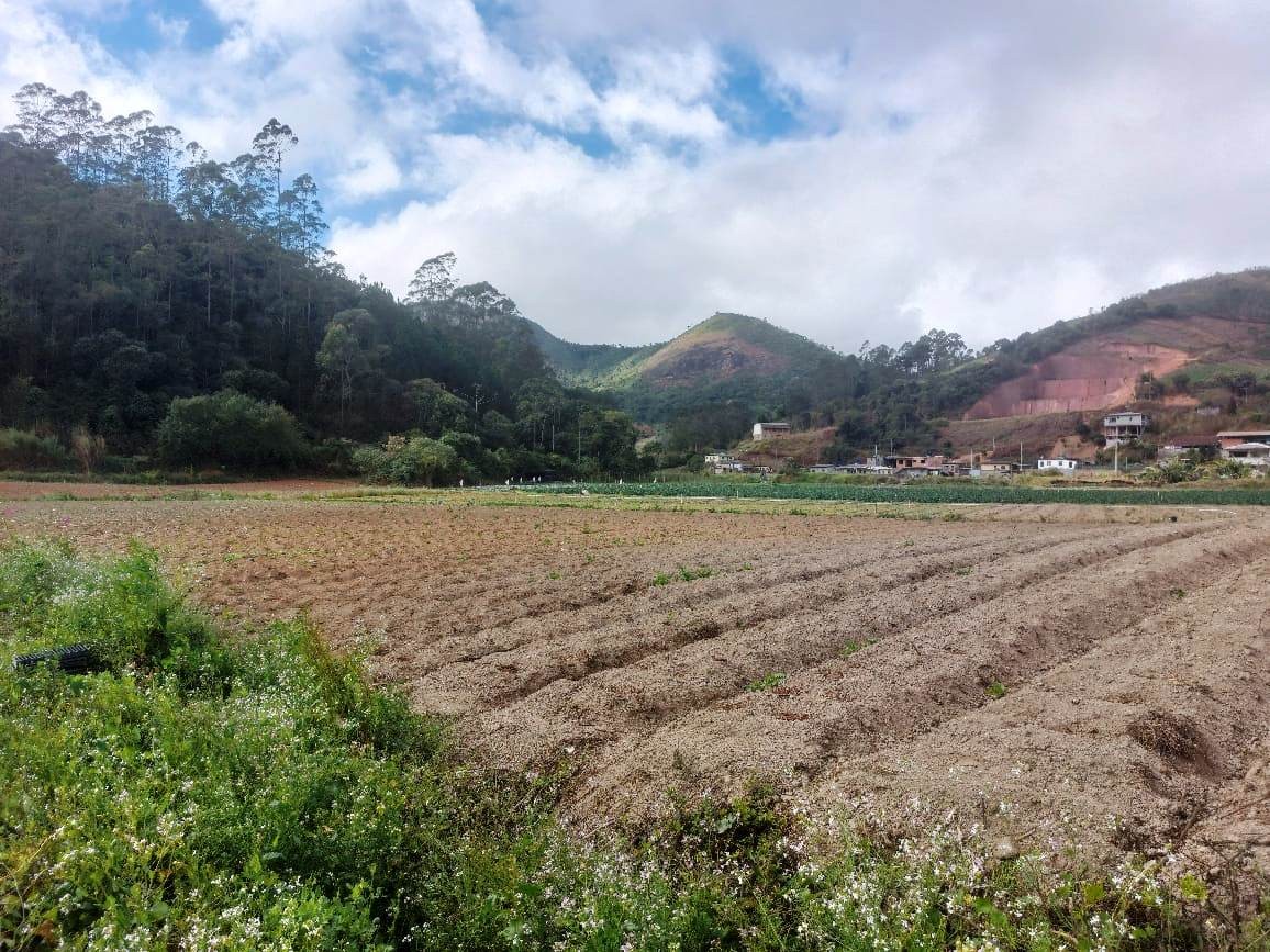 Sítio, 2 quartos, 8 hectares - Foto 22